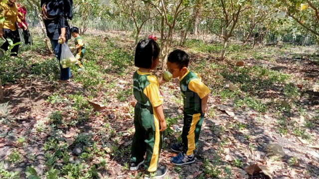 Playgroup Mulia Insani