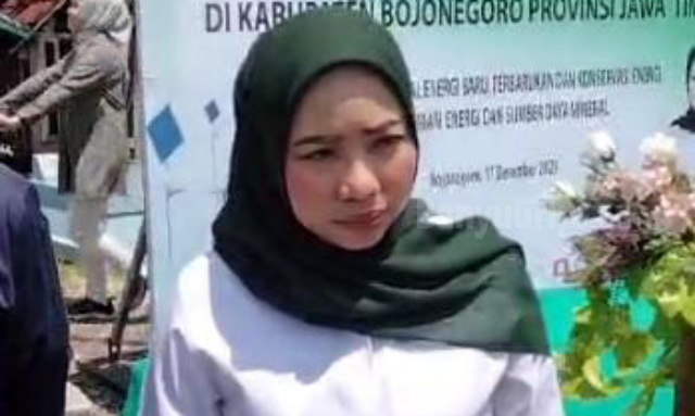 Anggota Komisi VII DPR RI, Ratna Juwita Sari.