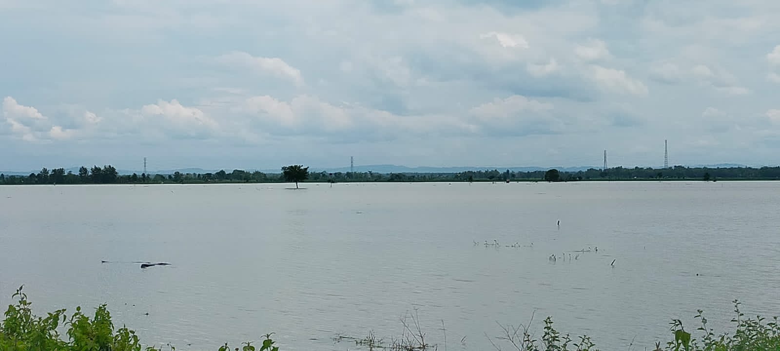 Banjir bojonegoro.