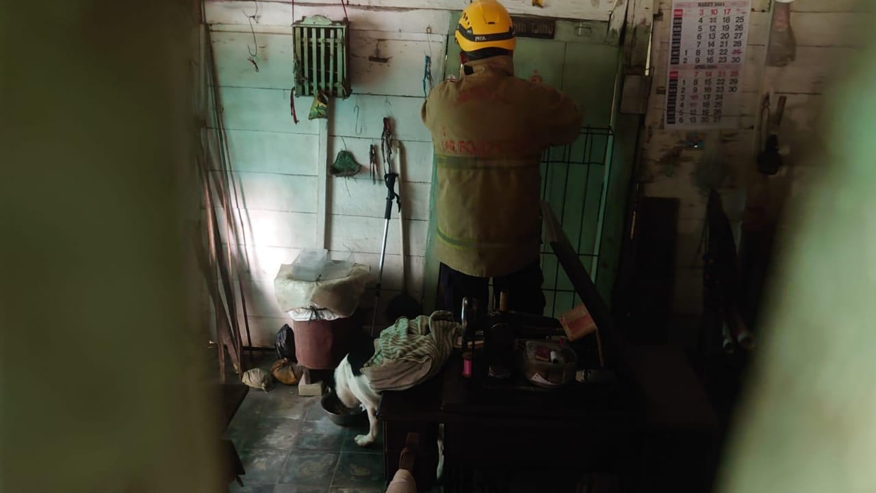 Anjing saat berhasil dijinakkan oleh personel Dinas Damkarmat Bojonegoro sebelum mati.