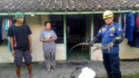 Regu Damkarmat Pos Kota berhasil menangani biawak ukuran 1,5 meter yang masuk rumah warga Banjarejo.