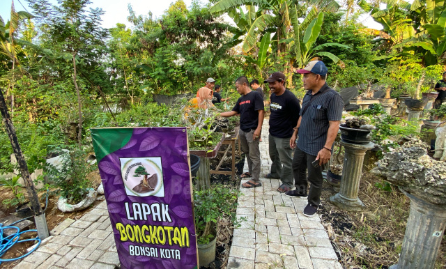 Pengunjung sedang memilih tanaman bonsai di lapak milik para komunitas seniman bonsai.