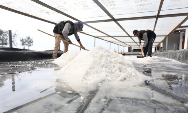 PPM : Pertamina Wujudkan Program Salt Center Terintegrasi di Bangkalan Madura.