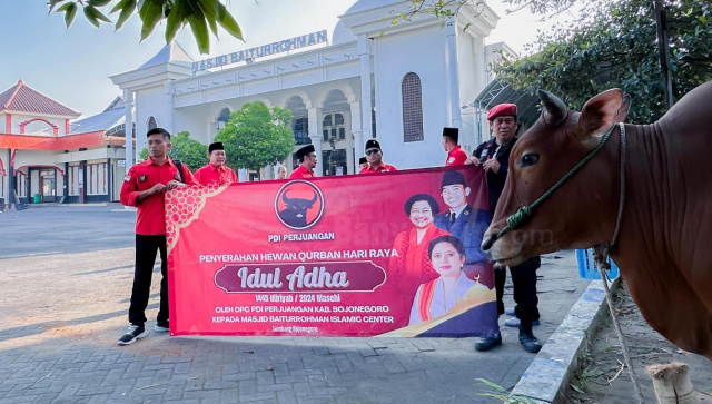 Penyerahan sapi kurban oleh DPC PDI Perjuangan Bojonegoro ke Masjid Baiturrohman.