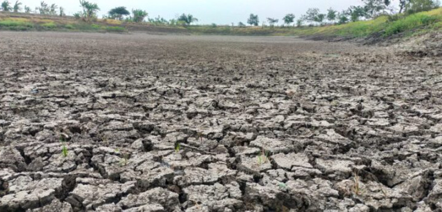 Salah satu embung di Kabupaten Bojonegoro, Jawa Timur yang kondisinya telah mengering.