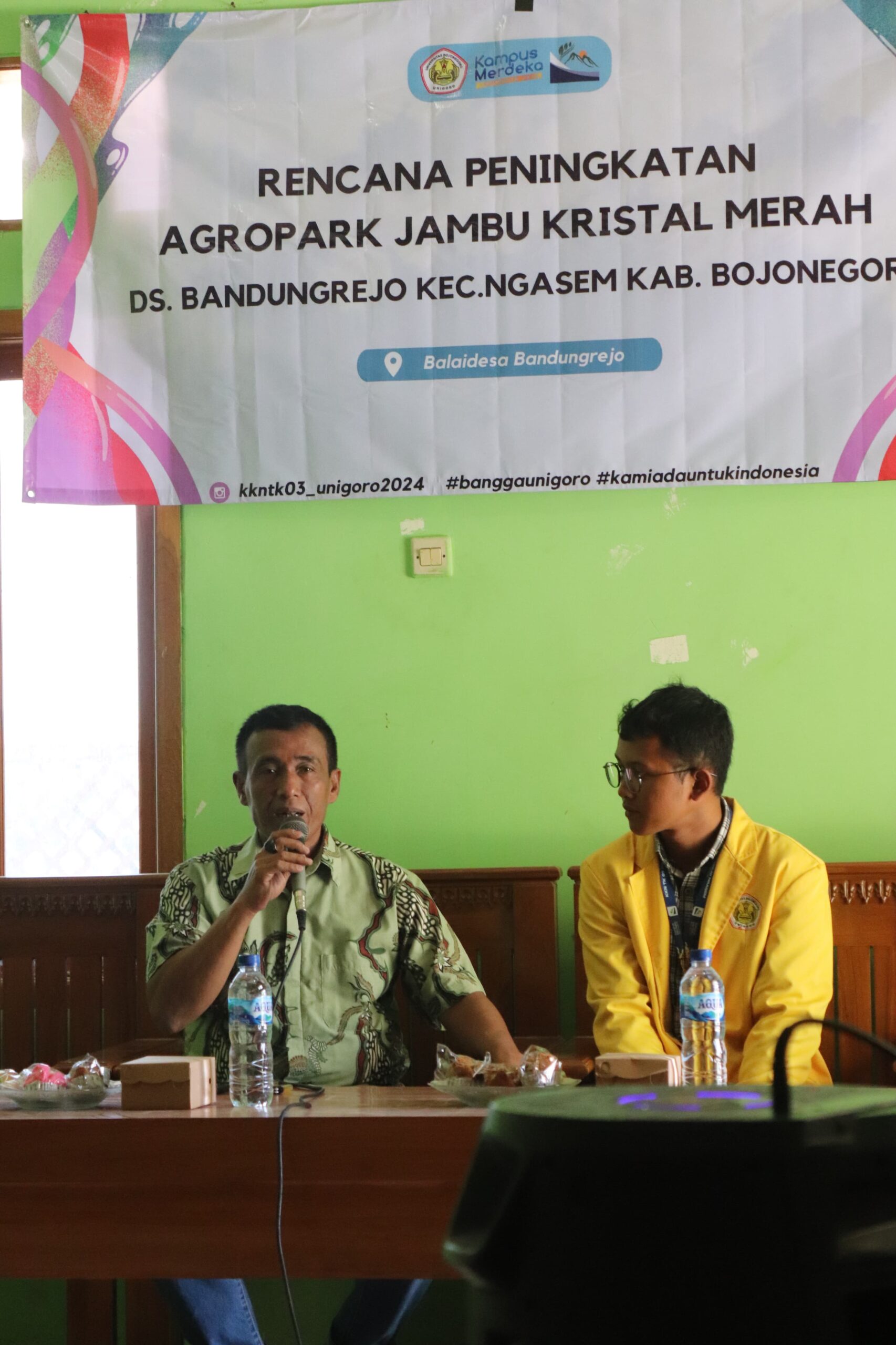 Agropark jambu kristal merah.