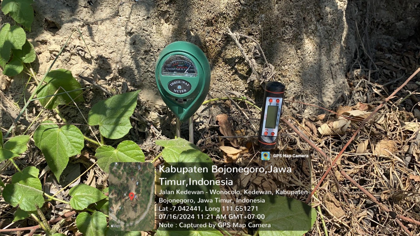 Sarang semut di penambangan minyak tradisional wonocolo.