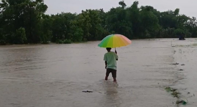 Jalan poros desa dan area persawahan yang baru ditanami padi petani di Bojonegoro terendam banjir.