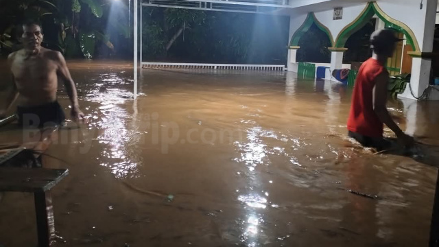 Banjir bandang dander