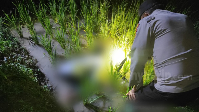 Petani meninggal di sawah Bubulan.