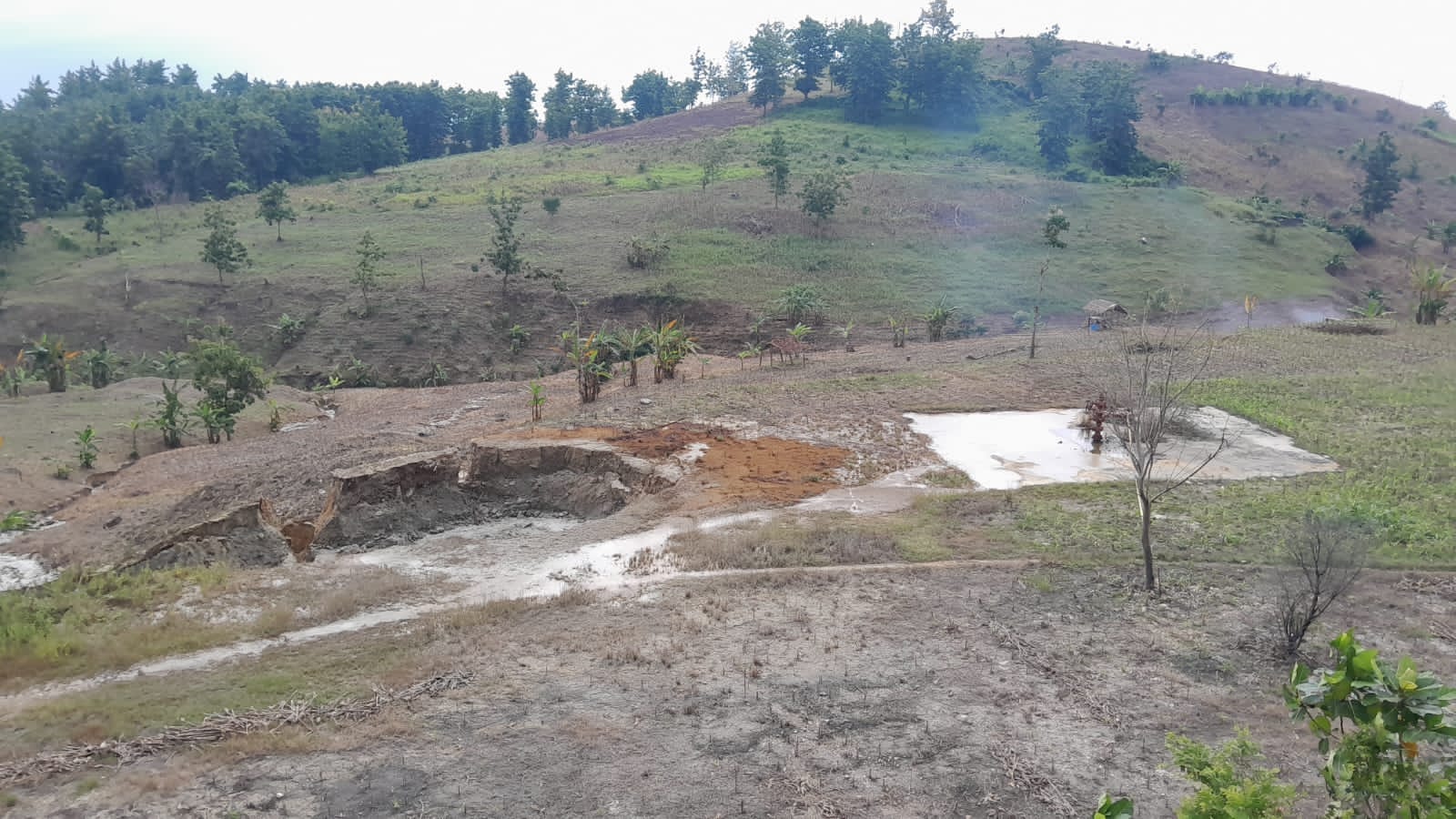 Sumur minyak tua blora semburkan lumpur.