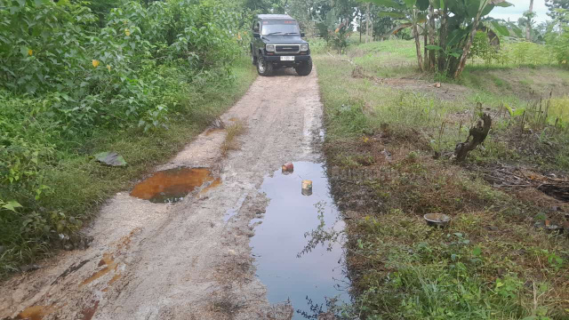 Tumpahan minyak mentah menggenangi jalan hutan Blora.