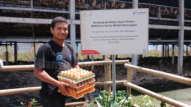 Anak kandang ayam petelur milik BUMDesa Usaha Bhakti Manunggal, Desa Kaliombo, Juprianto.