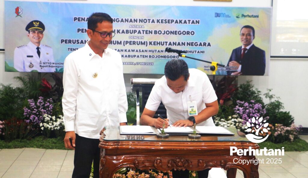 Kesepakatan pemanfaatan hutan.