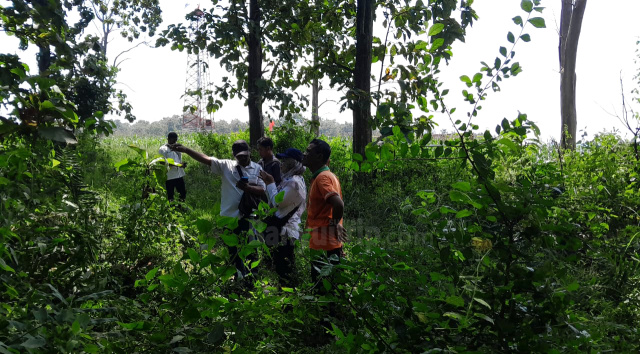 Perum Perhutani Jawa Tengah