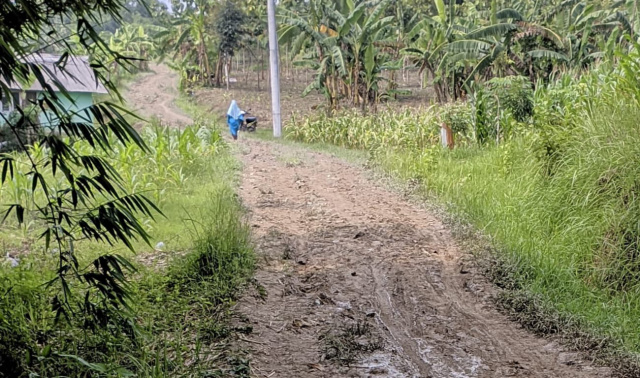 Jalan Napis rusak