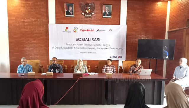 LIMA 2B Sosialisasi program ayam petelur