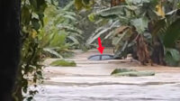 Banjir Sungai gandong