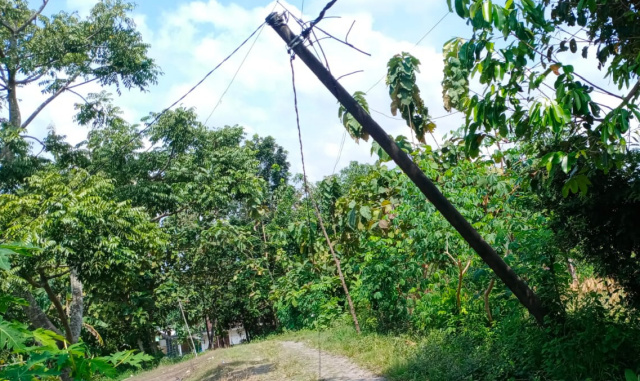 Tiang listrik nyaris roboh.
