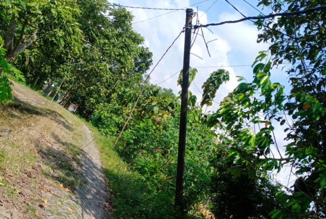 Tiang listrik nyaris roboh