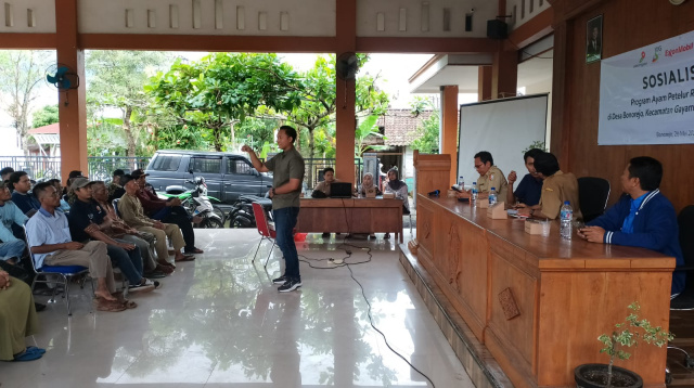 Sosialisasi program ayam petelur