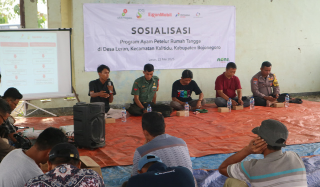 Program ayam petelur