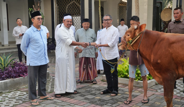 PGN serahkan sapi kurban