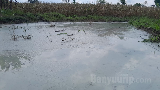 Pembuangan Limbah minyak ilegal