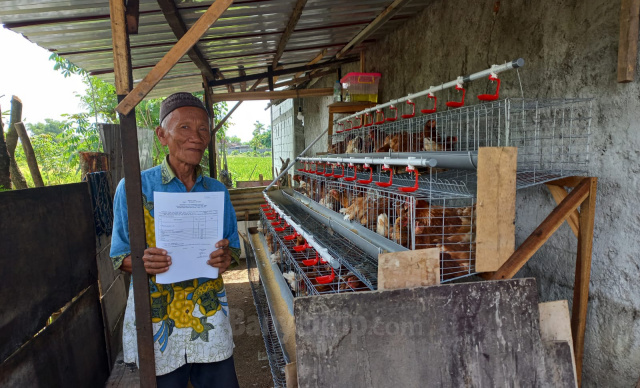 Penerima manfaat program Ayam Petelur, Jasman.