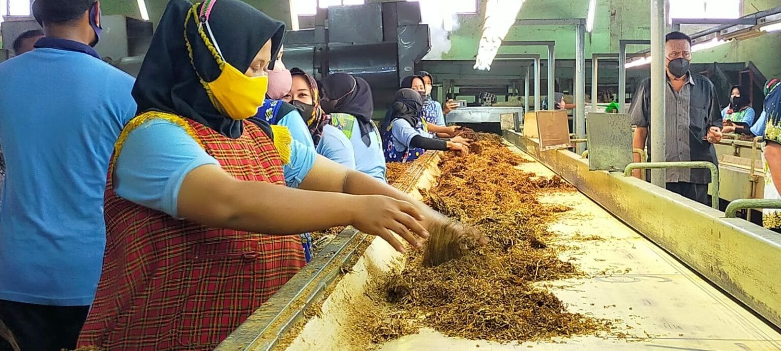 Buruh pabrik rokok.