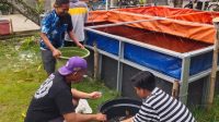 Para peternak lele binaan Pertamina EP Sukowati di Desa Ngampel.