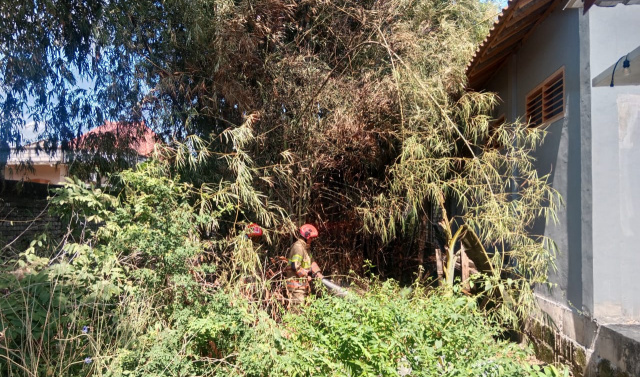 Damkarmat Bojonegoro