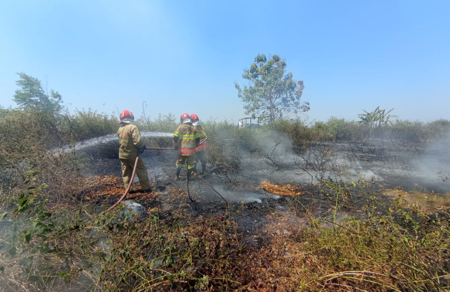 Kebakaran Bojonegoro.