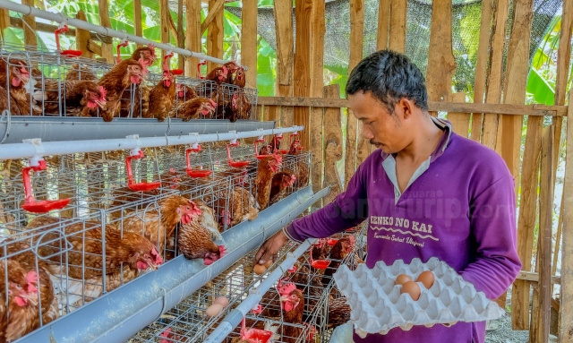 Penerima manfaat Program Gayatri Mustadi.