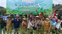 Pertanian Gayam