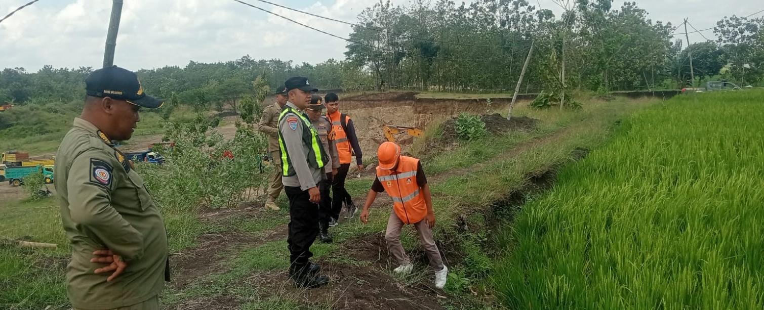 Jebakan tikus beraliran listrik.