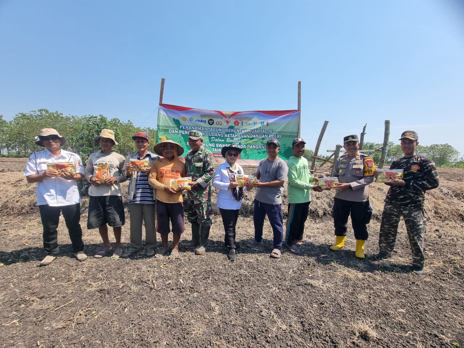 Tanam jagung swasembada pangan.