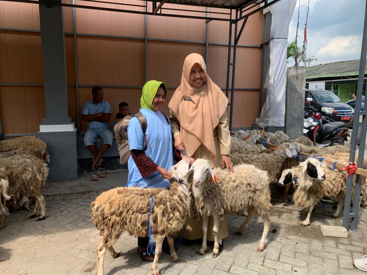 Domba kesejahteraan.