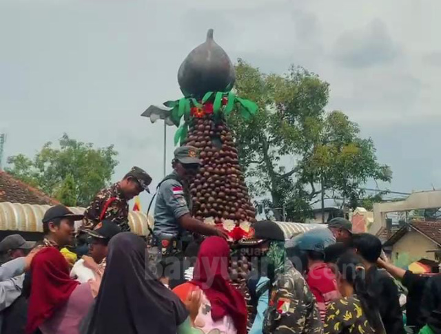 Salak wedi