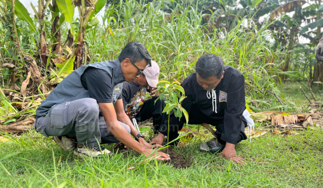 Tanam pohon