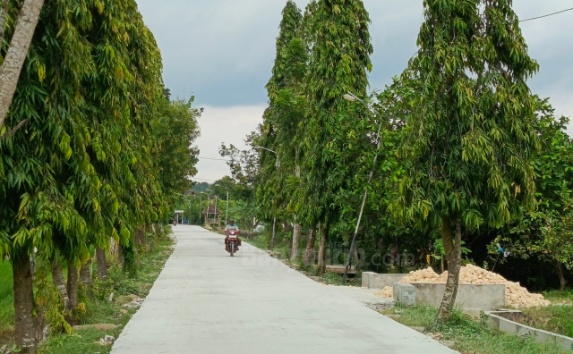 Jalan rigit beton Desa Mojo