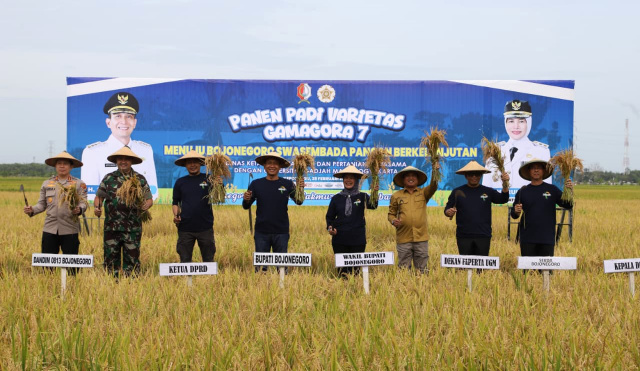Bupati Wahono panen raya padi