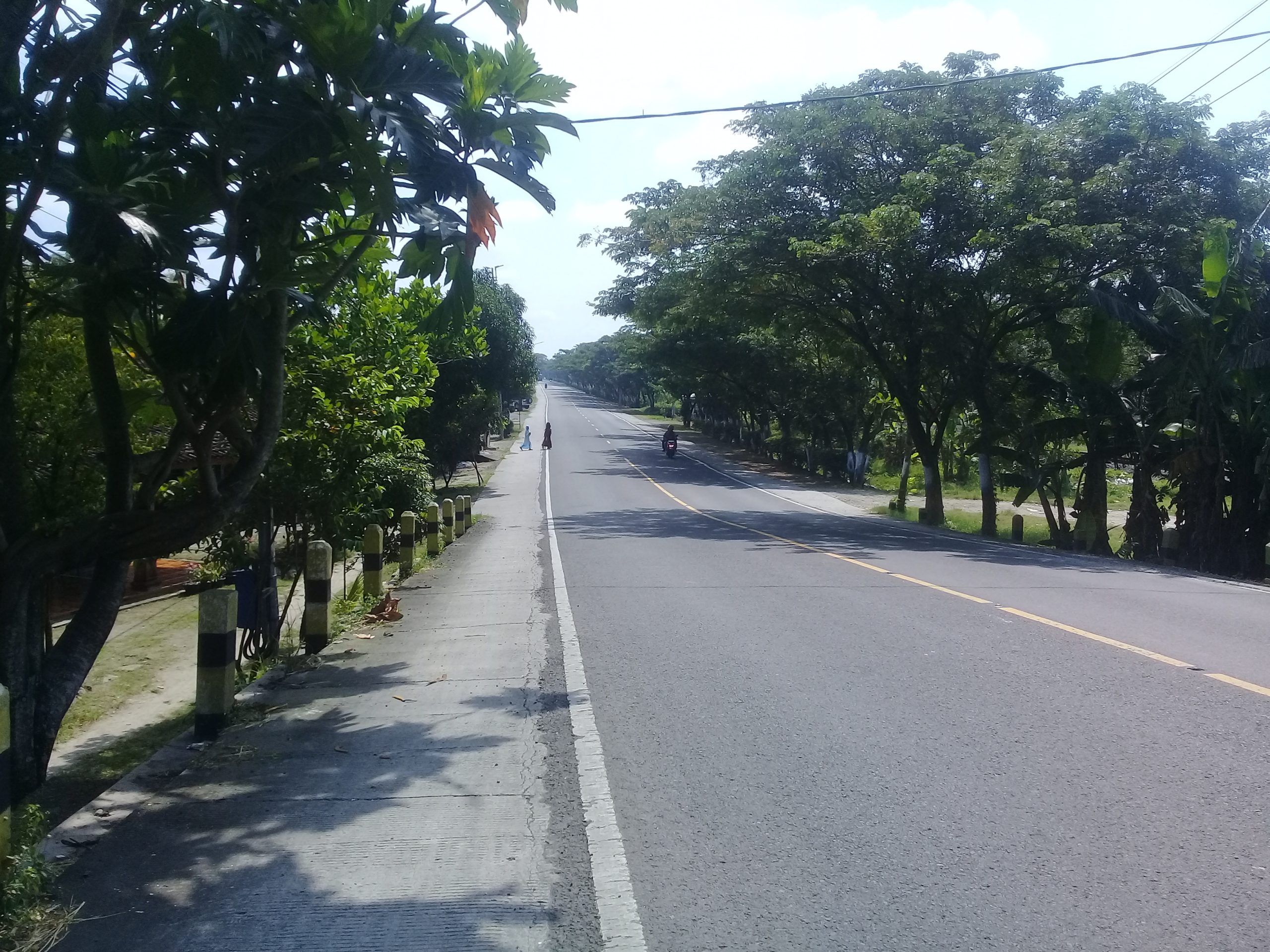 Jalan Nasional Bojonegoro-Padangan.