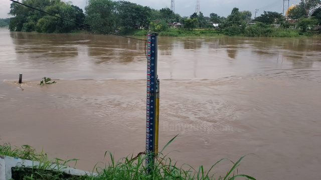 Bengawan solo naik