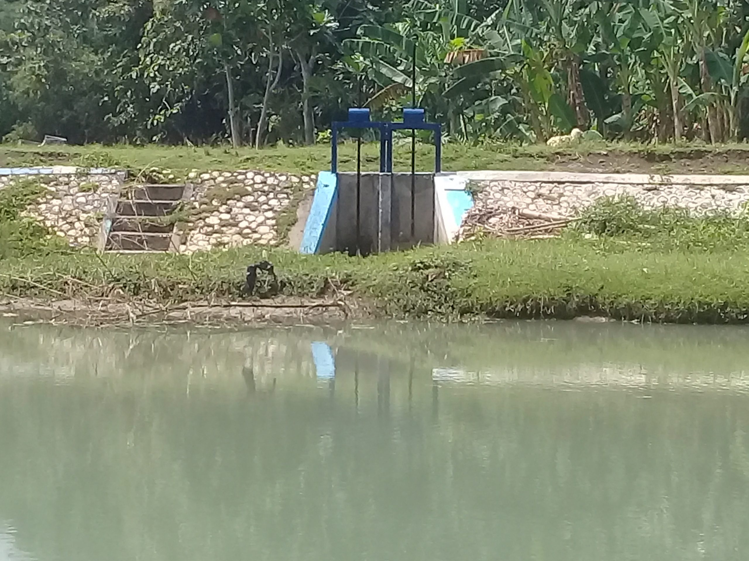 Bendung Ngunut.