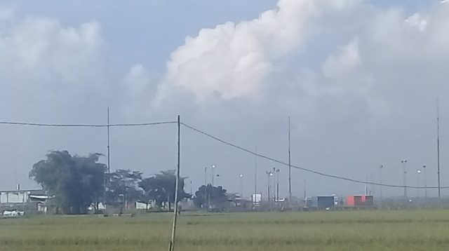 Petani Kedung Keris.