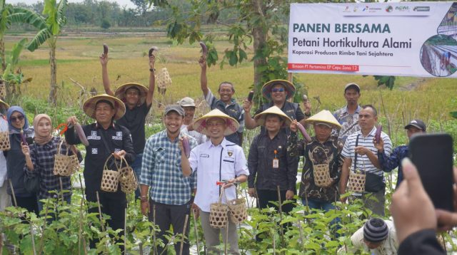 Hortikultura Organik.