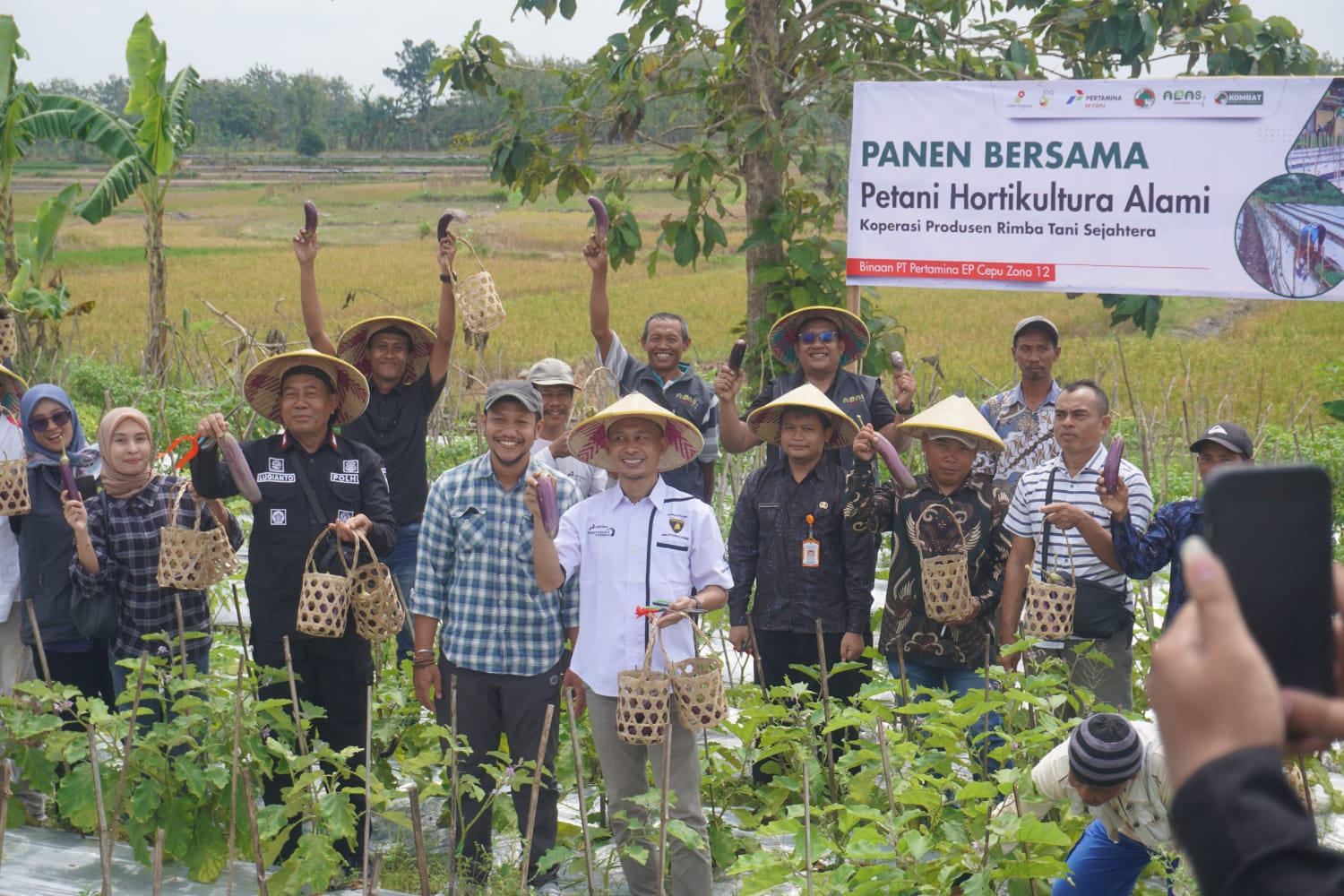 Hortikultura Organik.