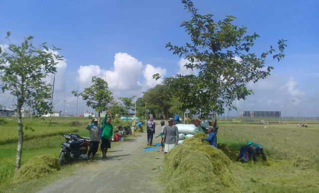 Petani sekitar Migas KDK