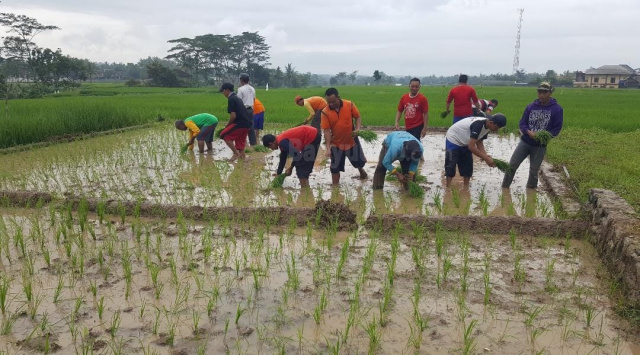 Antisipasi kemarau panjang